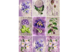 Download 9 Vintage ATC Cards, Ephemera Tags - Premium Resources
